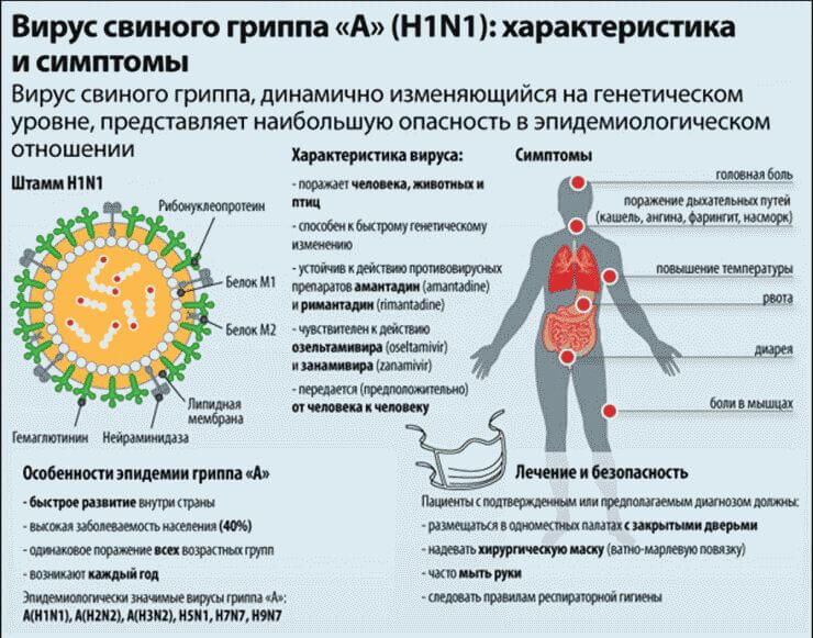 Симптомы свиного гриппа у человека 2016