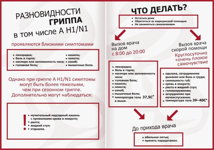 Симптомы свиного гриппа у человека 2016